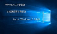 青苹果系统Ghost_win10_64位_专业装机版 v2021.01