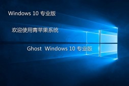 青苹果系统Ghost_win10_64位_专业装机版 v2021.01