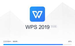 WPS Office 2019 专业版v11.8.2.10229